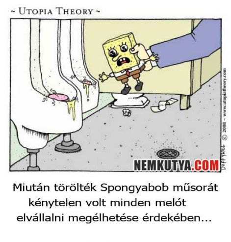 spongya.jpg